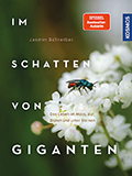 Jasmin Schreiber - Im Schatten von Giganten